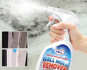 Anti-Mold Wall Cleaner Spray