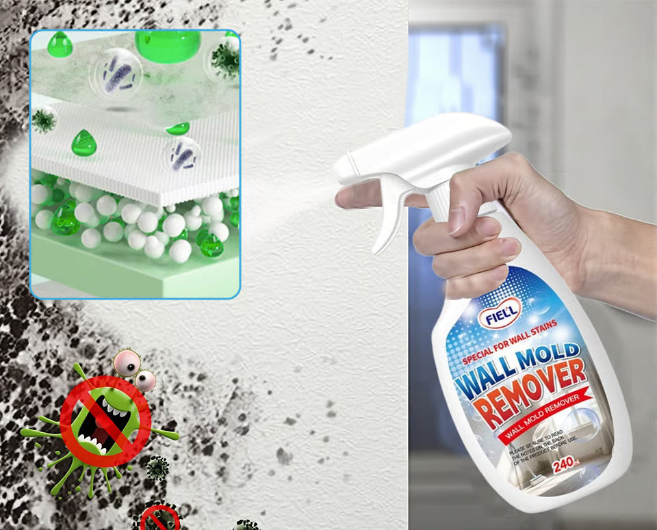 Anti-Mold Wall Cleaner Spray
