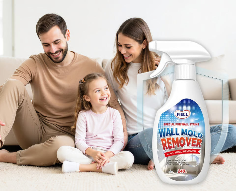 Anti-Mold Wall Cleaner Spray